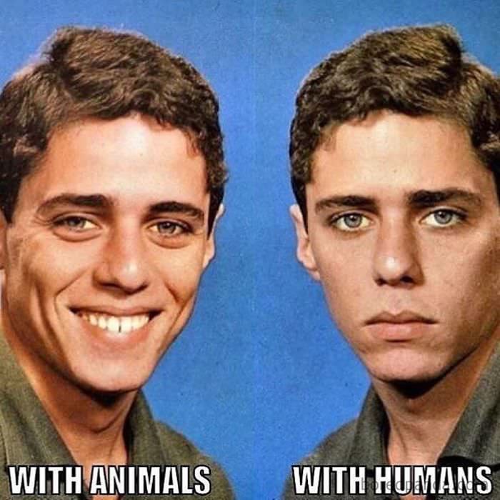  Funny introvert memes