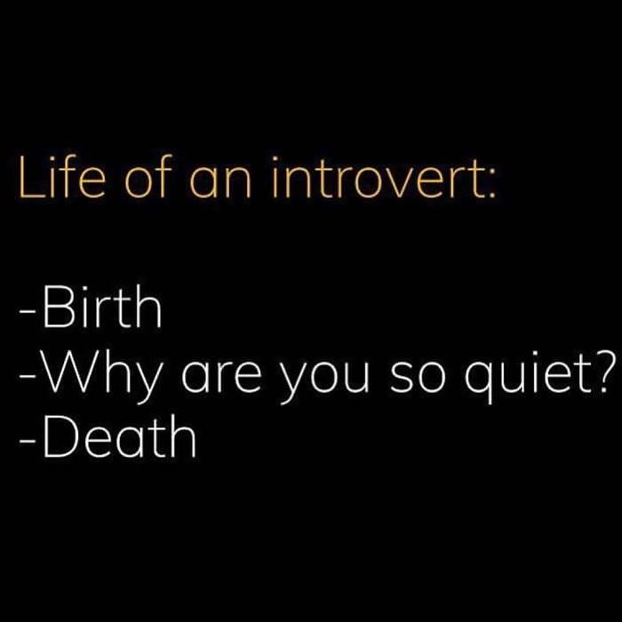  Funny introvert memes