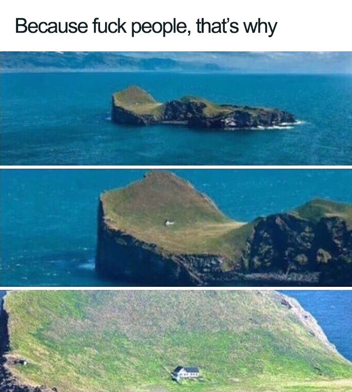  Funny introvert memes