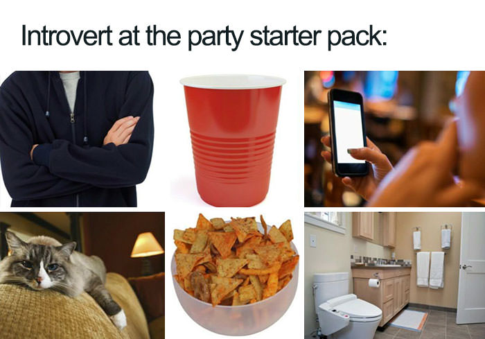  Funny introvert memes