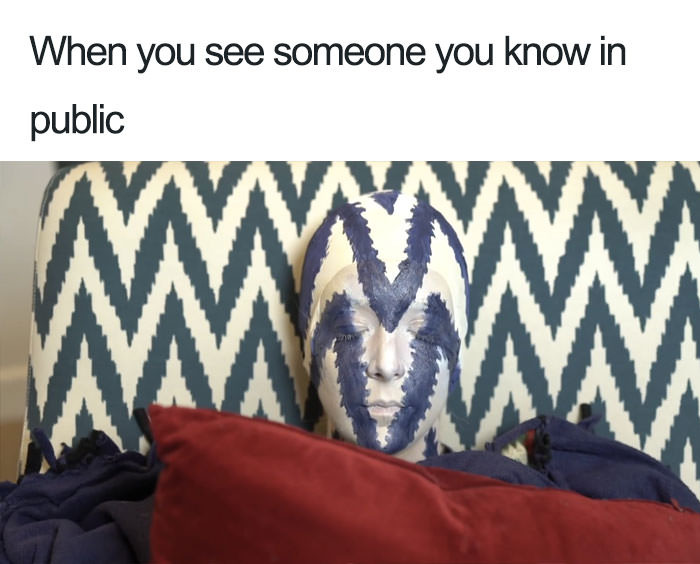  Funny introvert memes