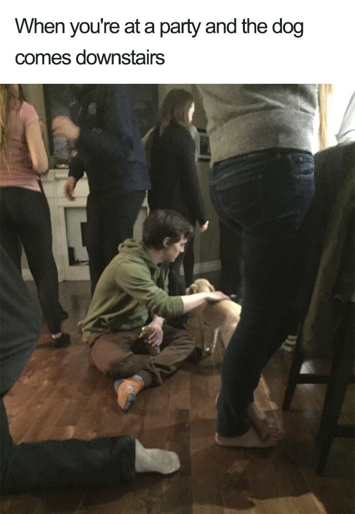  Funny introvert memes