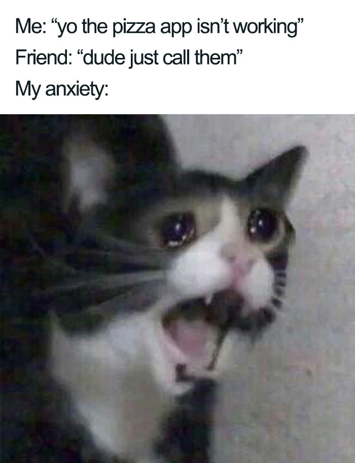  Funny introvert memes