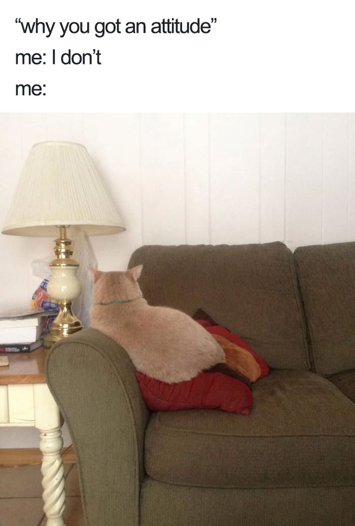  Funny introvert memes