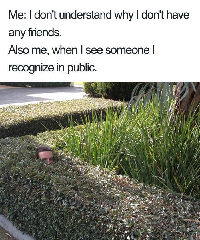  Funny introvert memes