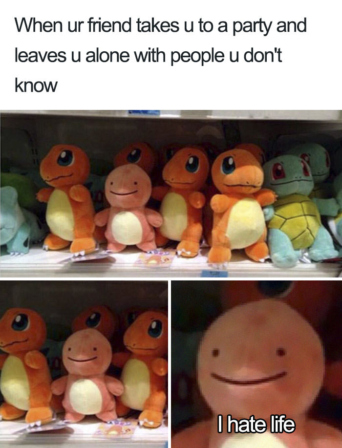  Funny introvert memes