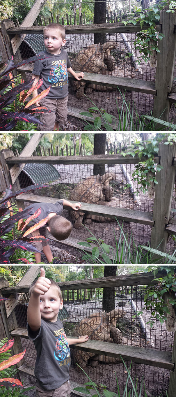 I Took My 3-Year-Old Son To The Zoo. I Think He Learned A Lot About Animals