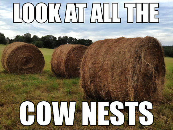 It Occurs To Me That Despite Living In The Country, My Kids Haven