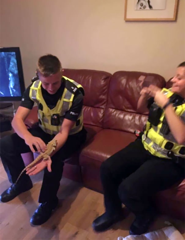 When The Police Rock Up At Your House And They Are More Interested In Your Bearded Dragon Than You