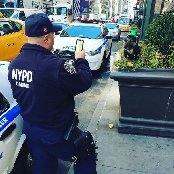  NYPD Officer And Dog Enjoying St. Patrick