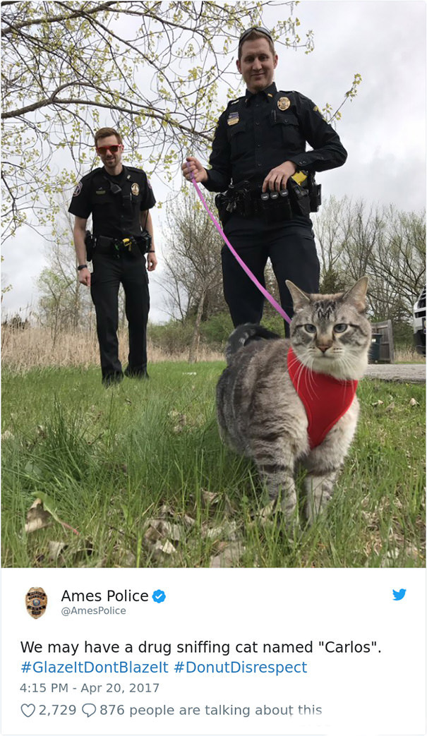  Carlos, The Police Cat