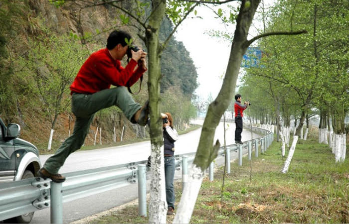  Passionate Crazy photographers 