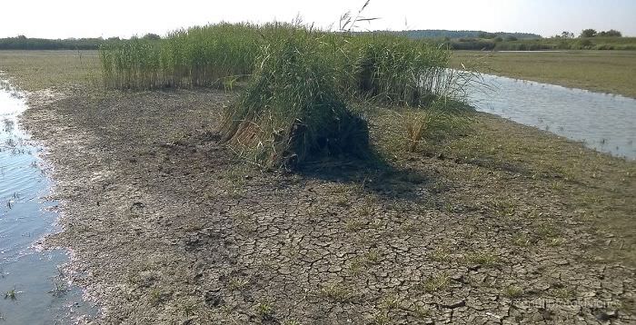  Passionate Crazy photographers 