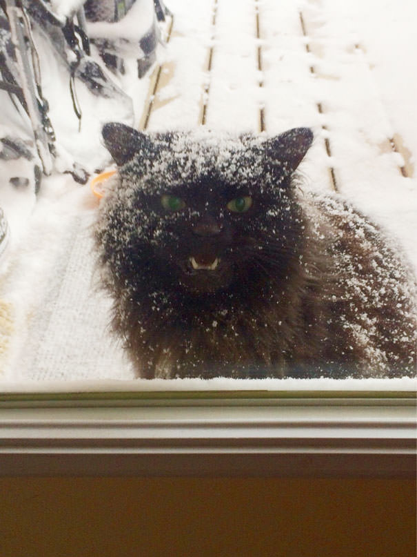 He Insisted He Wanted Out. He Regrets That Decision. I Fear For My Life.