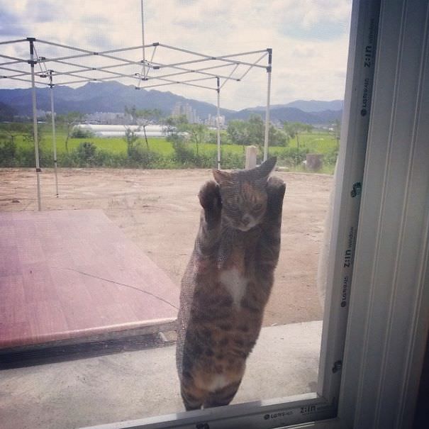  Any Day Now, Human