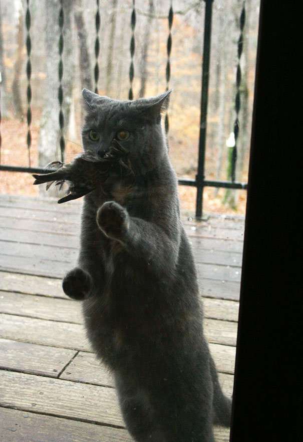  Why Wont You Let Me In? I Brought You A Present