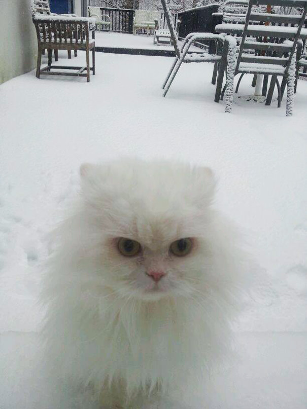  Let Me In Right Now!
