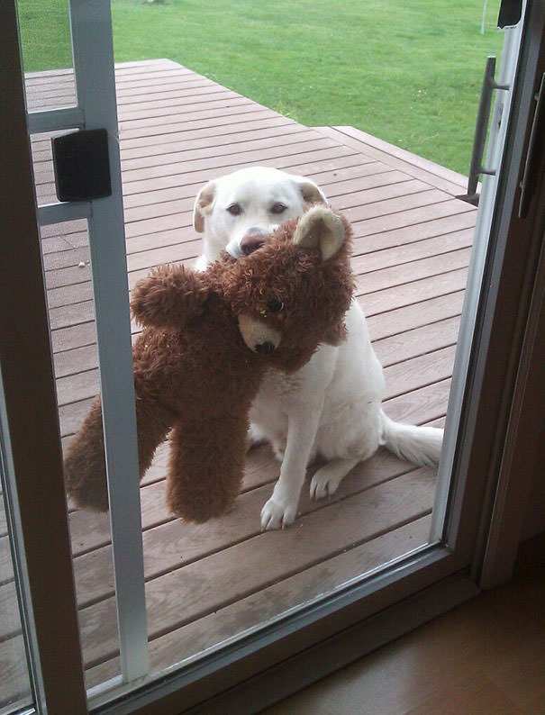 Let Us In!
