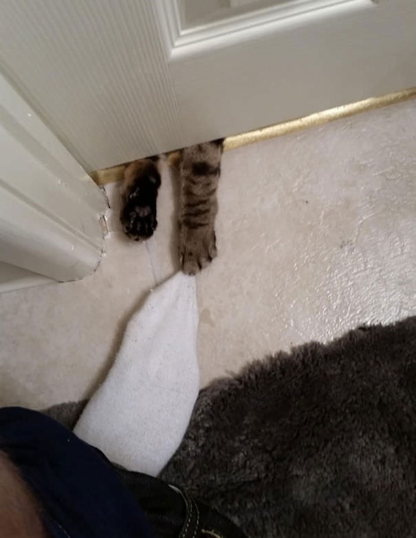 Let Me In!