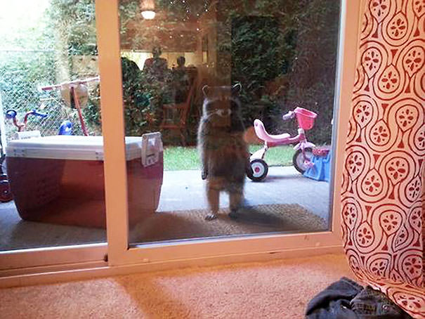 Look Meredith, We Both Said Things We Didn’t Mean, Can You Ju