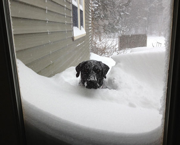 Let Me In!