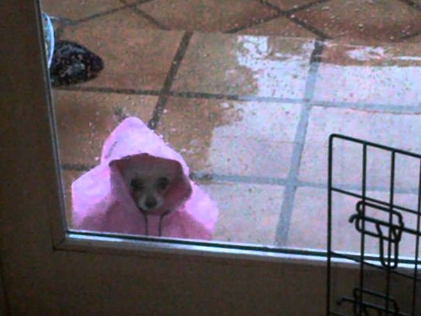 Let Me In, It