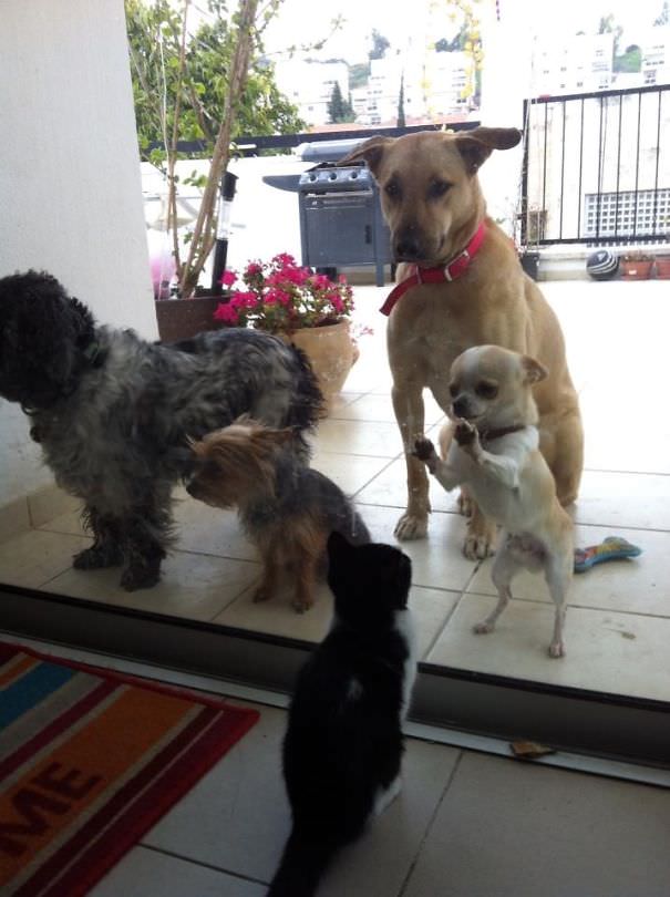 Can We Come In Now Please