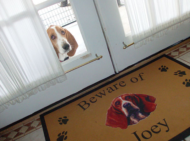  Let Me In!