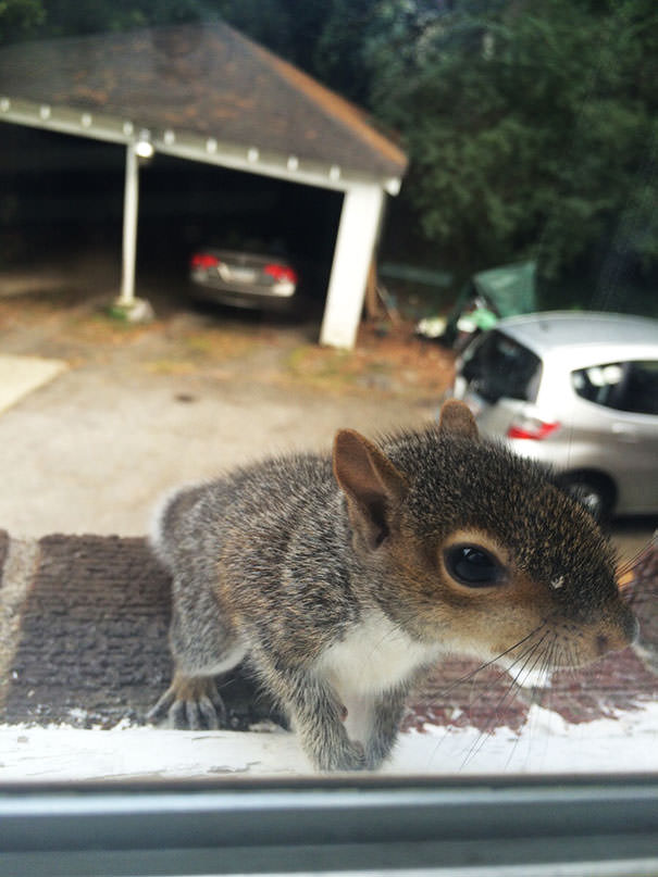  Stop Taking Pictures Of Me And Let Me In