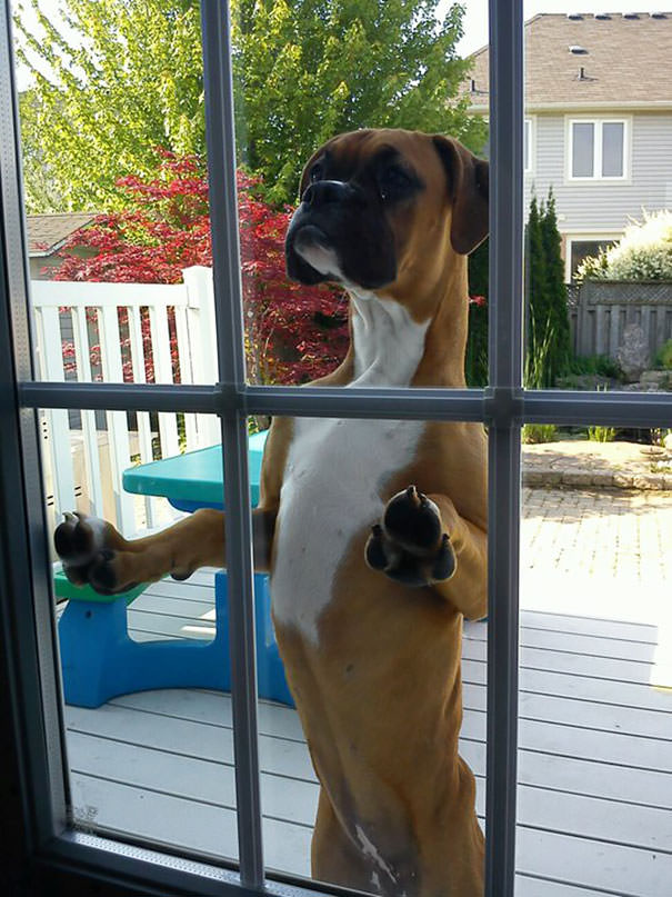  Neighbor