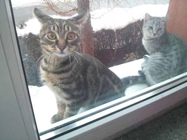 Going Outside Was A Bad Idea