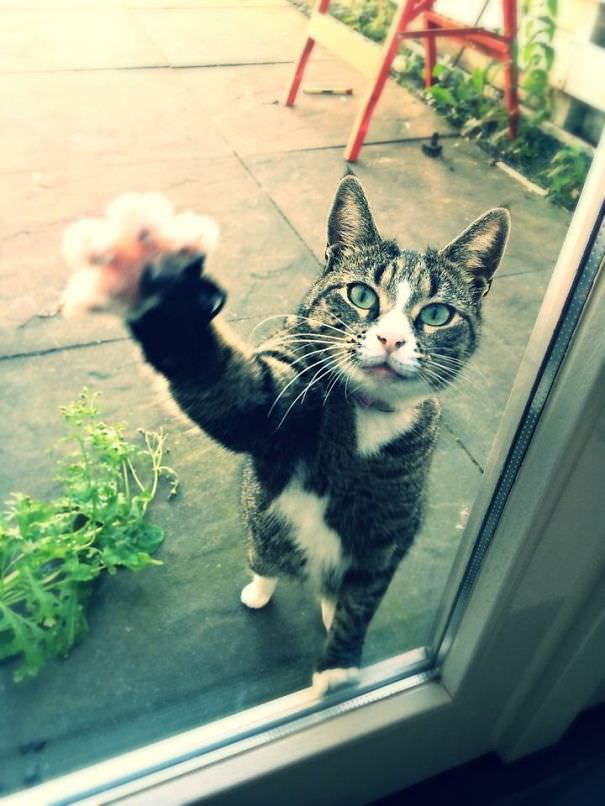  Ey! Doorknob..