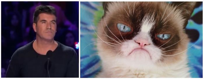 Simon Cowell Looks Like Grumpy Cat