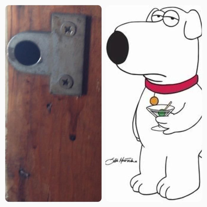 Hardware Vs. Brian Griffin