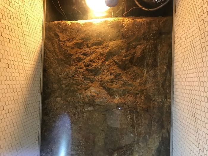 Worst things structural inspection 