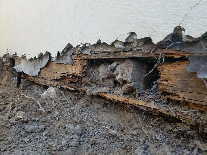 Worst things structural inspection 