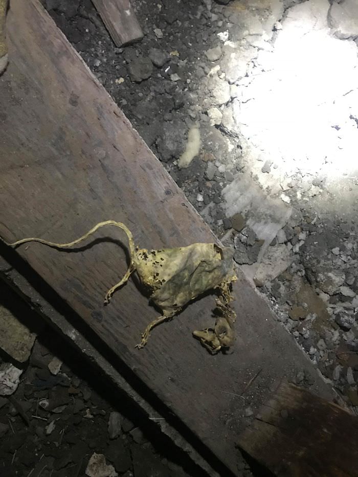 Worst things structural inspection 