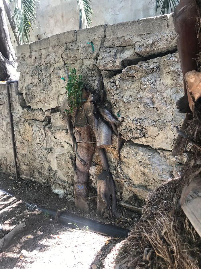 Worst things structural inspection 