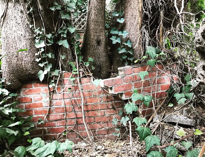 Worst things structural inspection 