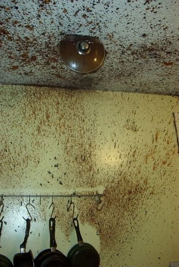  Slight Kitchen Mishap