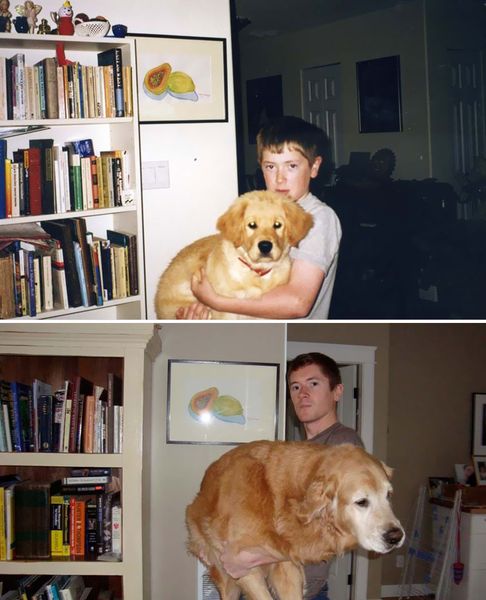 animals-before-after-then-now-31_resultat
