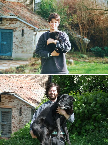 animals-before-after-then-now-37_resultat