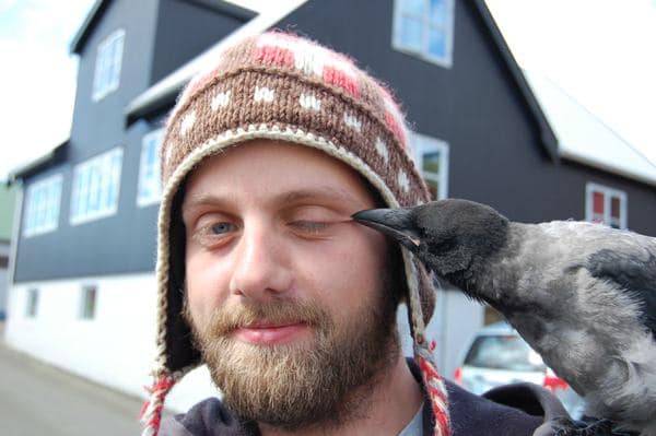 animals-being-jerks-13