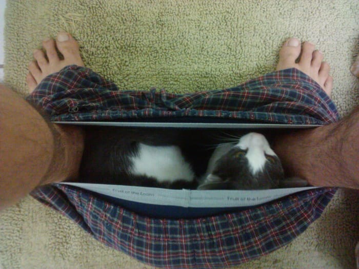 animals being jerks 13.1