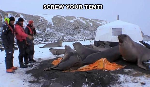 animals being jerks 20