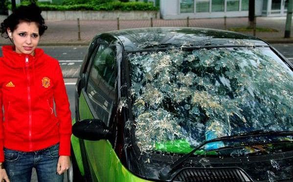 animals being jerks 8