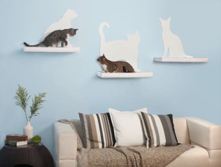 awesome ways to organize cats 10