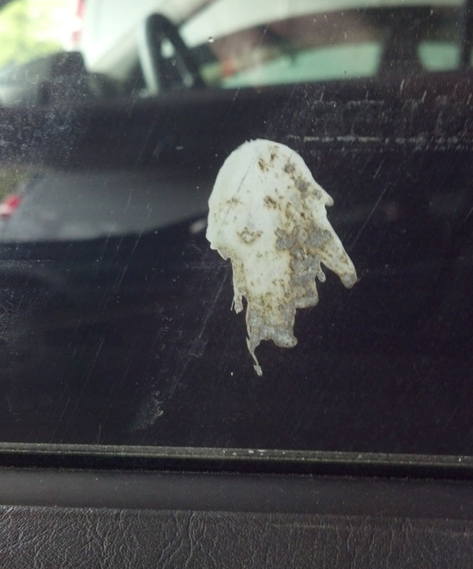 bird-poop-looks-like-a-woman