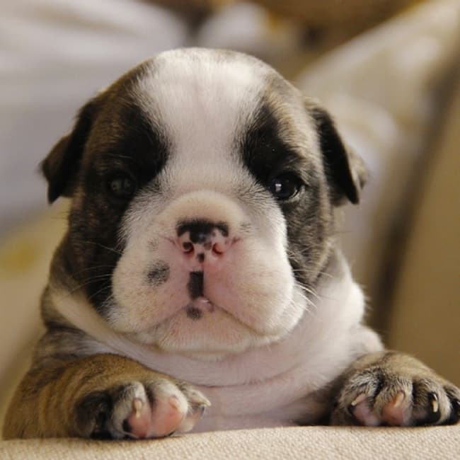 cc7471209b23843204685457e4e04f1a_650x