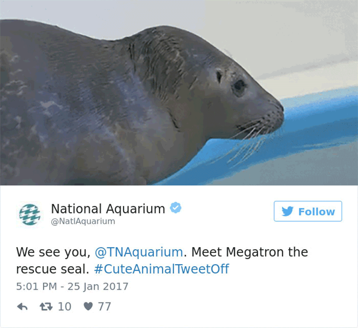 cute animal zoo twitter tweet off 12